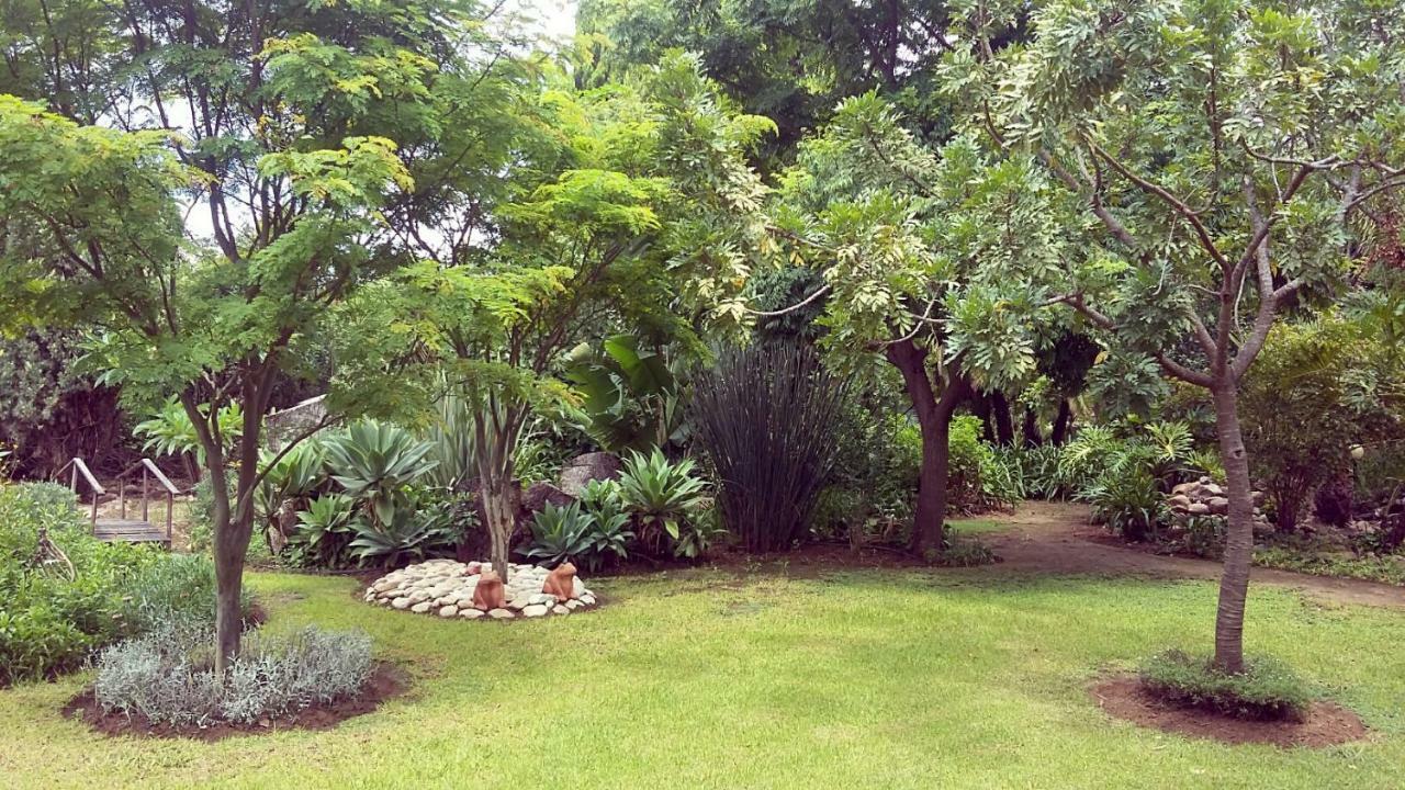 Beyond Cui Bono Guesthouse أدو المظهر الخارجي الصورة